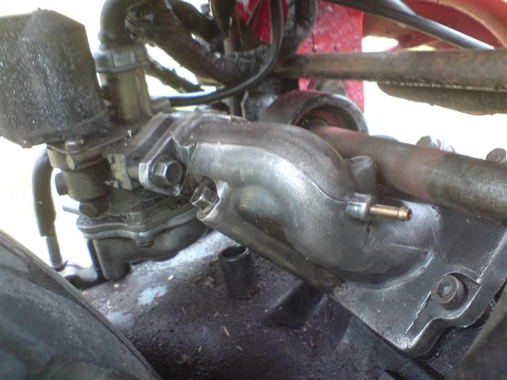 Adly silverfox/hot SOLGT billede 9