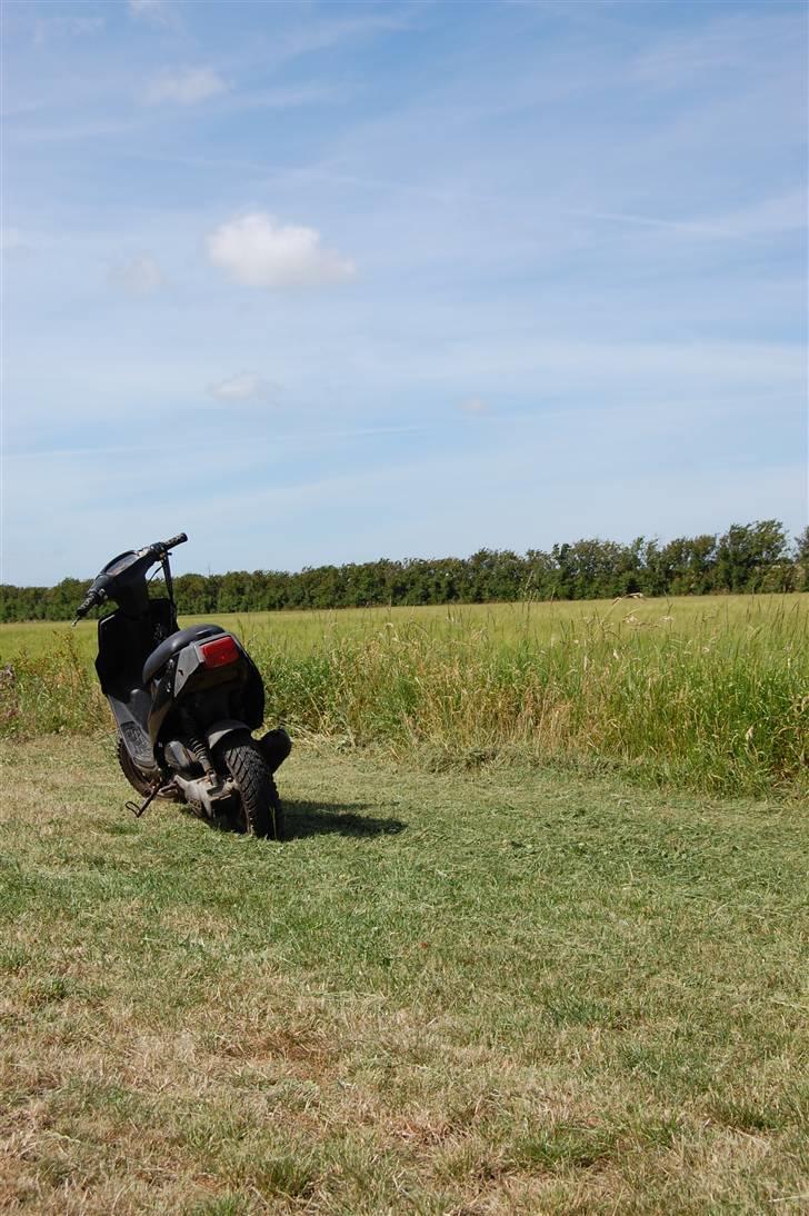 PGO hot 50  solgt billede 4