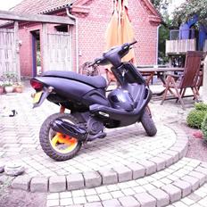 TGB Pegasus 303r Hawk (TIL SALG)