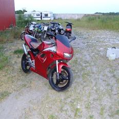 Aprilia rs50