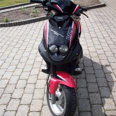 PGO pmx sport