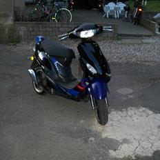 Giantco sprint SOLGT!