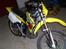 Suzuki RMX - SOLGT 