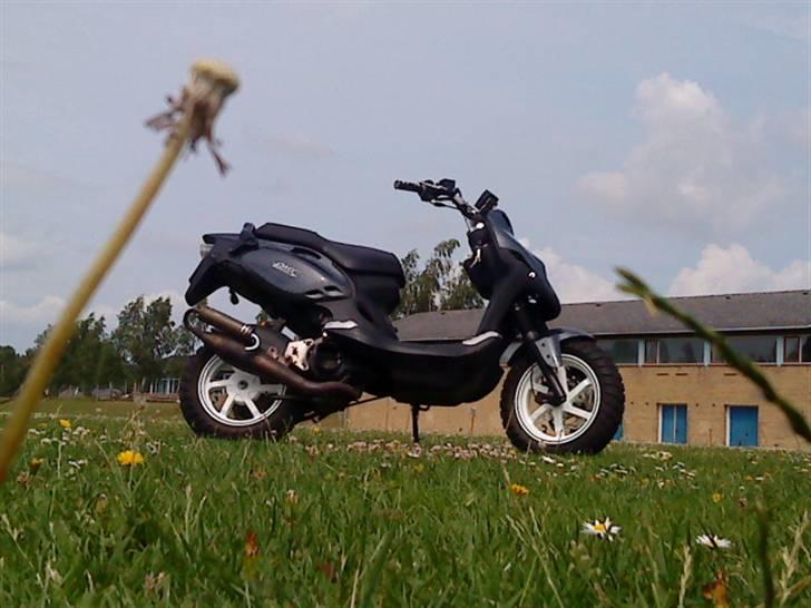 PGO pmx naked carbon byttet billede 20