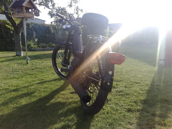 Puch Maxi K - Solgt billede 16
