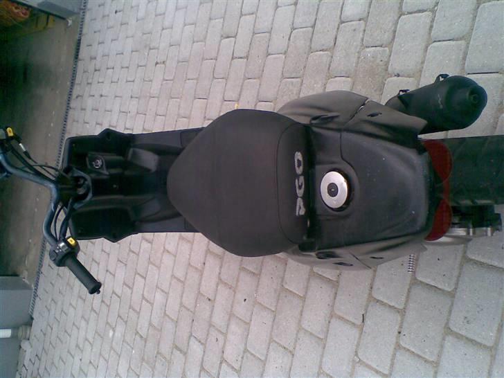 PGO hot50 (solgt) billede 4