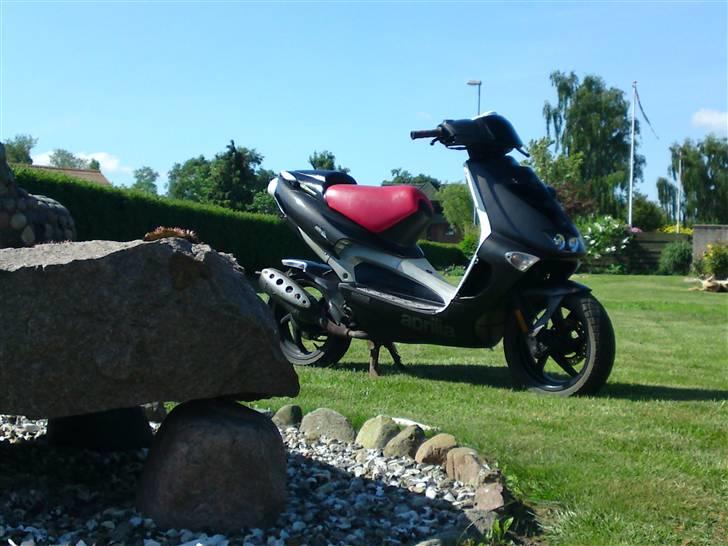 Aprilia sr ditech BYTTET TIL RMX  - jaah.. fine sager <3 :D billede 7