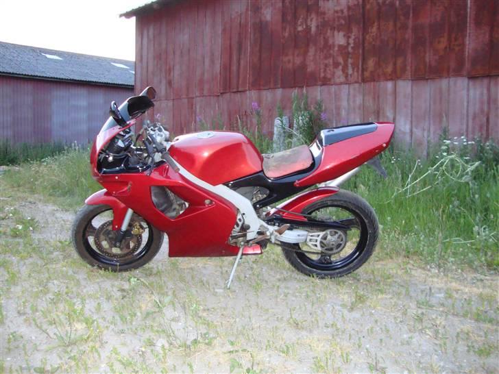 Aprilia rs50 billede 2