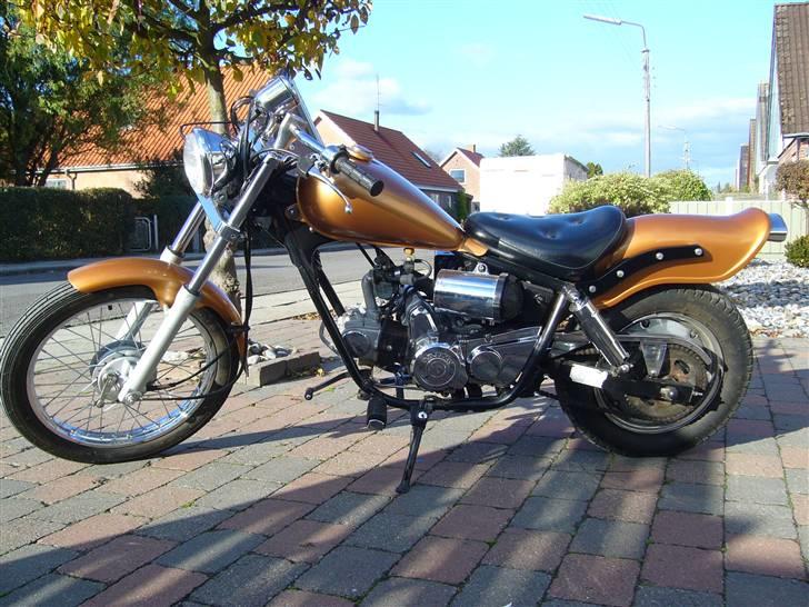 Regal Raptor - byttet billede 1