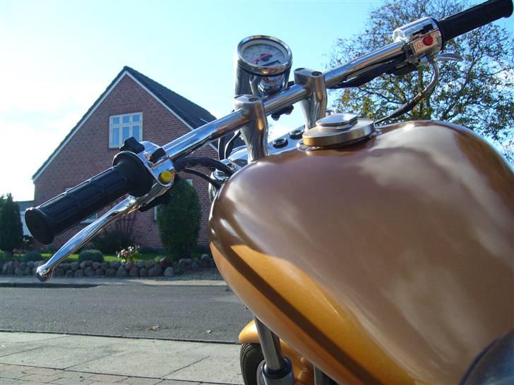 Regal Raptor - byttet billede 2