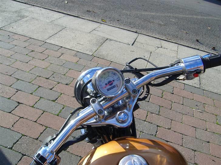 Regal Raptor - byttet billede 3