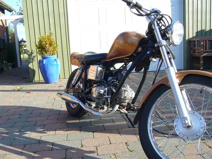 Regal Raptor - byttet billede 4