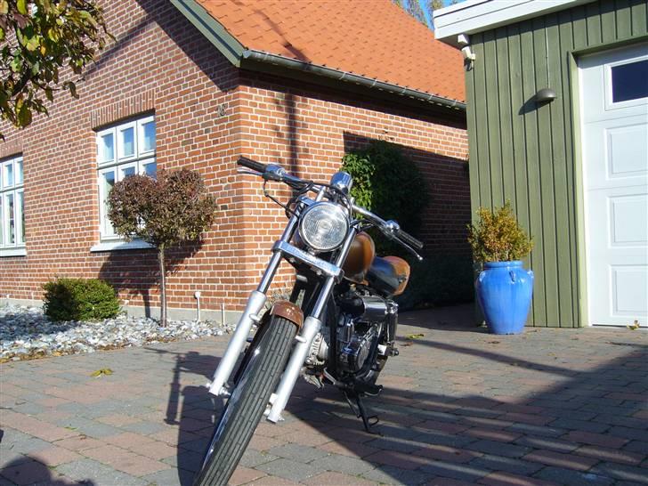 Regal Raptor - byttet billede 5