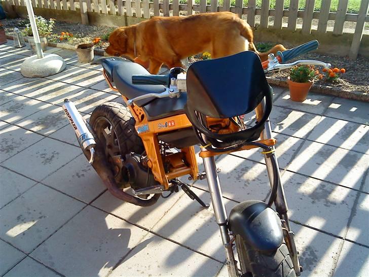 Suzuki Street Magic - Solgt billede 1