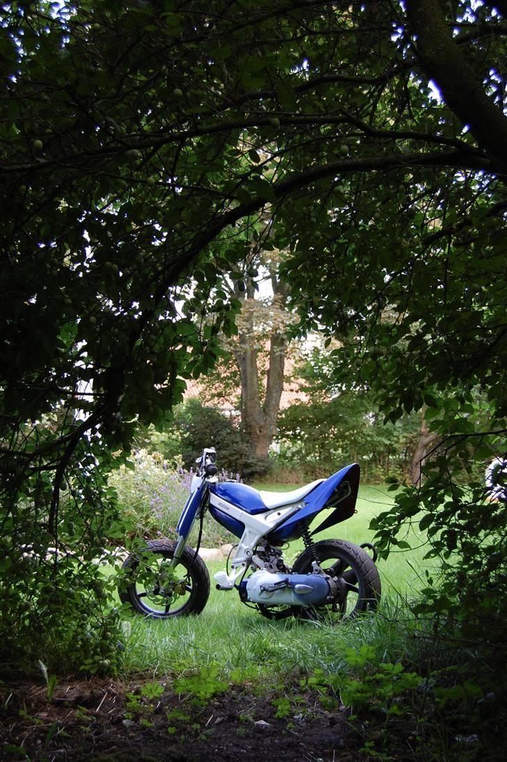 Suzuki Street sr :D solgt billede 1