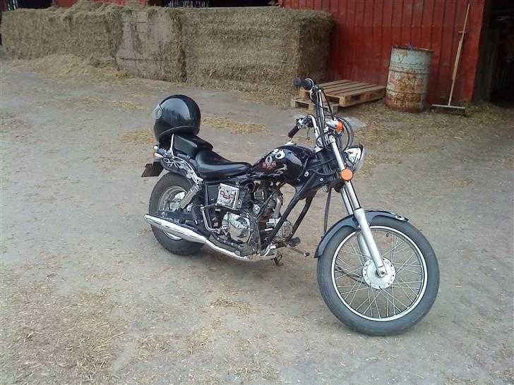 Regal raptor billede 16