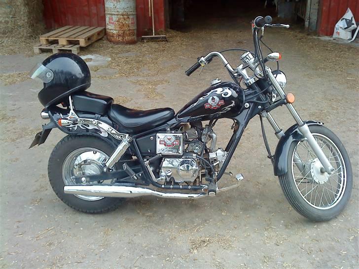 Regal raptor billede 17