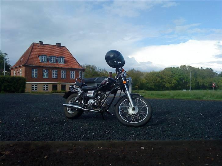 Regal raptor billede 20