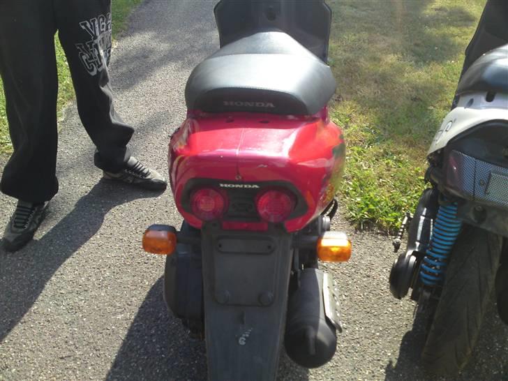 Honda sfx  byttet billede 4