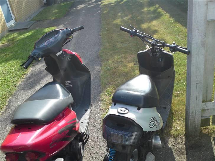 Honda sfx  byttet billede 6