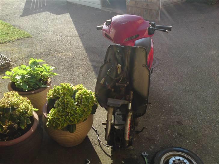 Honda sfx  byttet billede 7