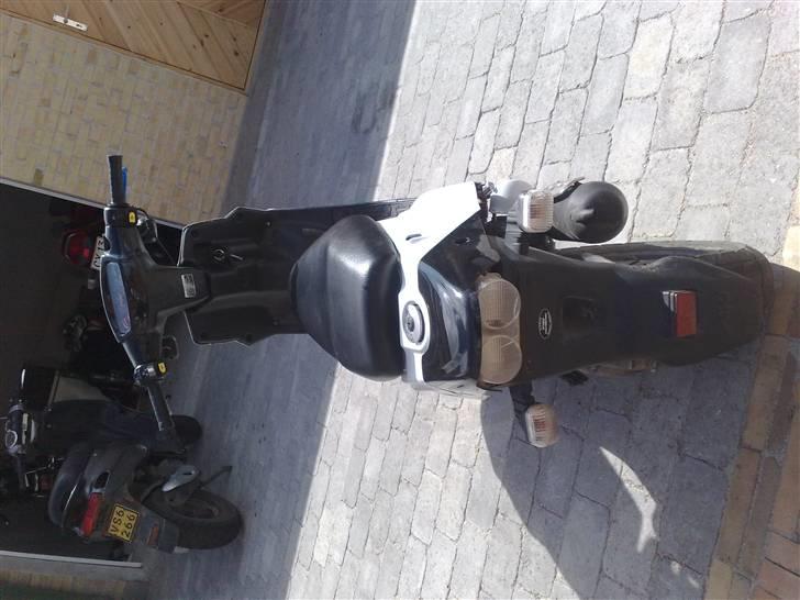 PGO hot 50 billede 8