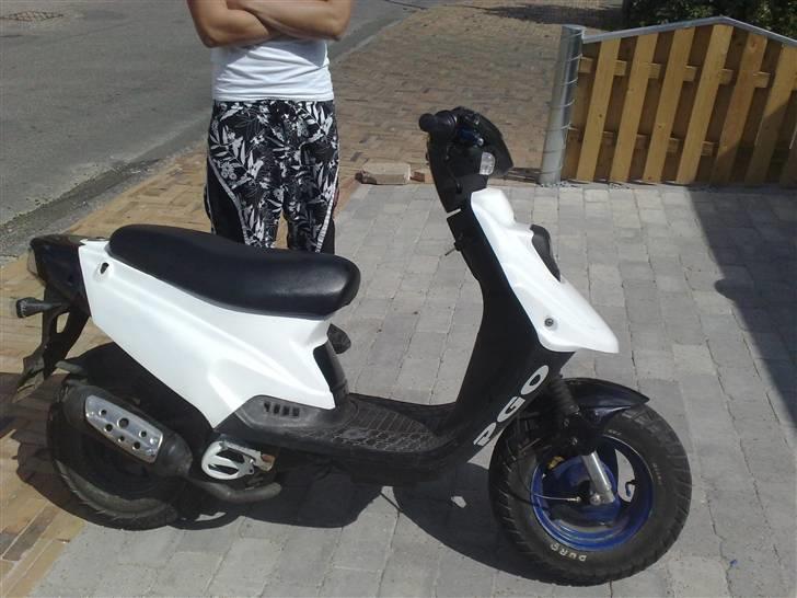 PGO hot 50 billede 10