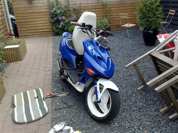 Adly silverfox (solgt) billede 1