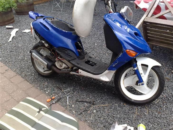 Adly silverfox (solgt) billede 2