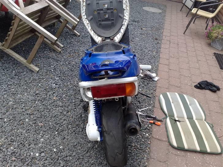 Adly silverfox (solgt) billede 3