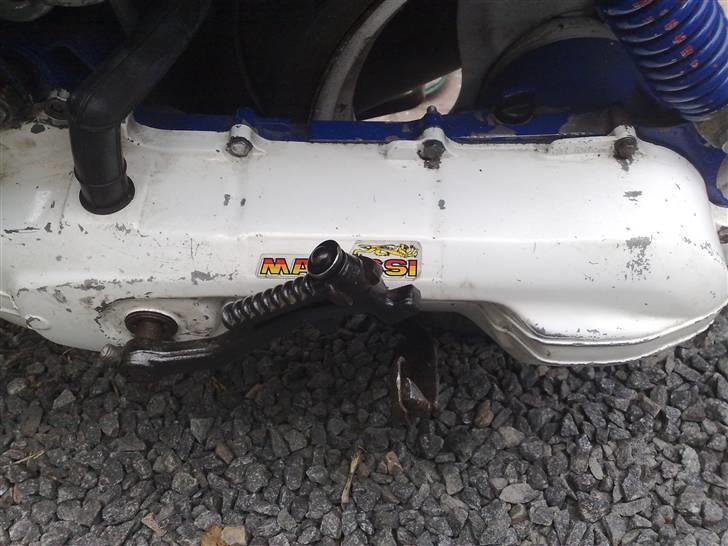 Adly silverfox (solgt) billede 4