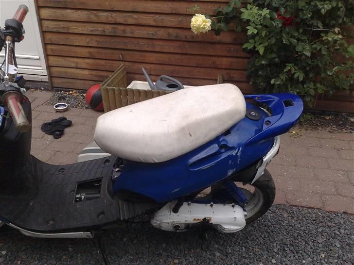 Adly silverfox (solgt) billede 6