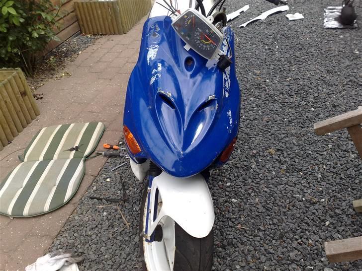 Adly silverfox (solgt) billede 8