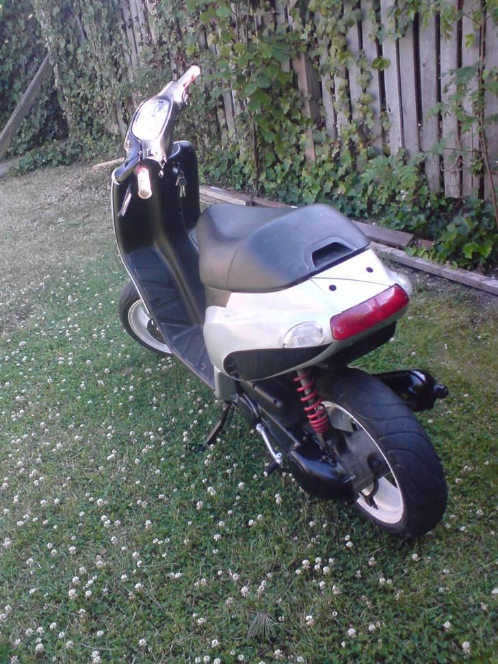 Piaggio typhoon billede 2