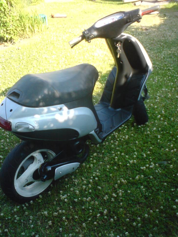 Piaggio typhoon billede 3