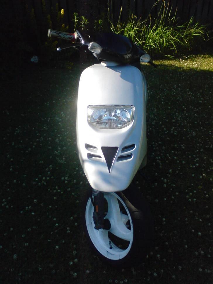 Piaggio typhoon billede 4