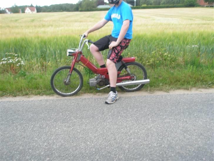 Puch Maxi KL "TIL SALG!!!" billede 15