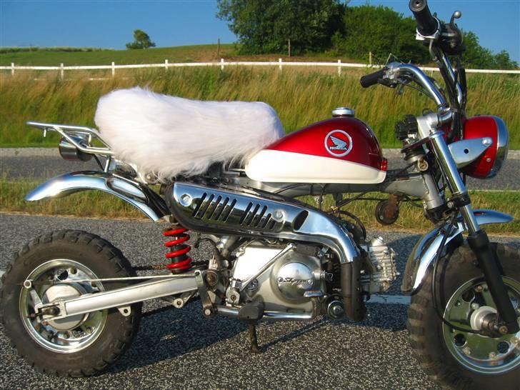 Skyteam Monkey billede 1