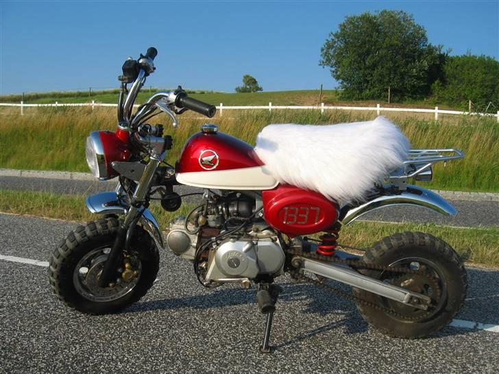 Skyteam Monkey billede 5