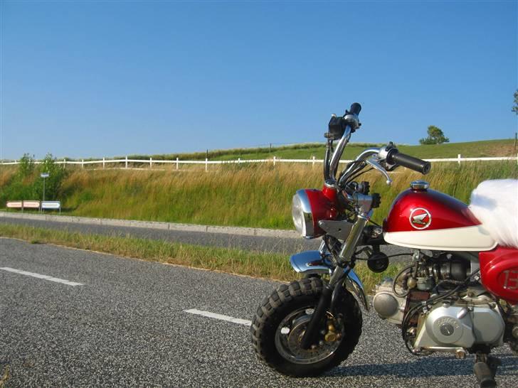 Skyteam Monkey billede 7