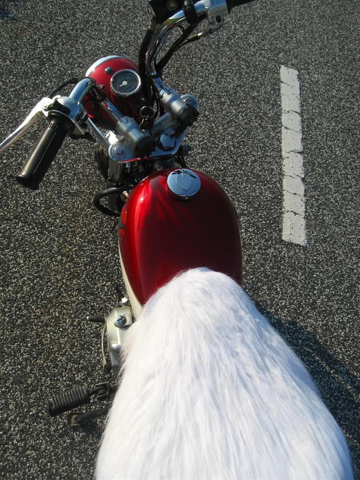 Skyteam Monkey billede 8