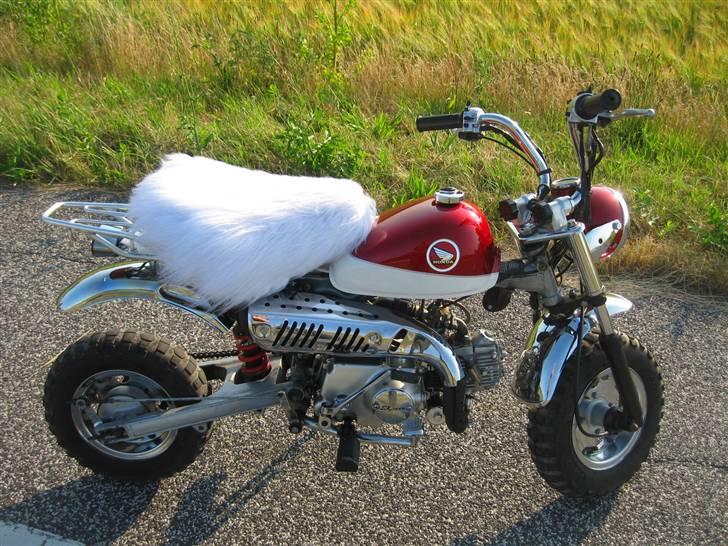 Skyteam Monkey billede 9