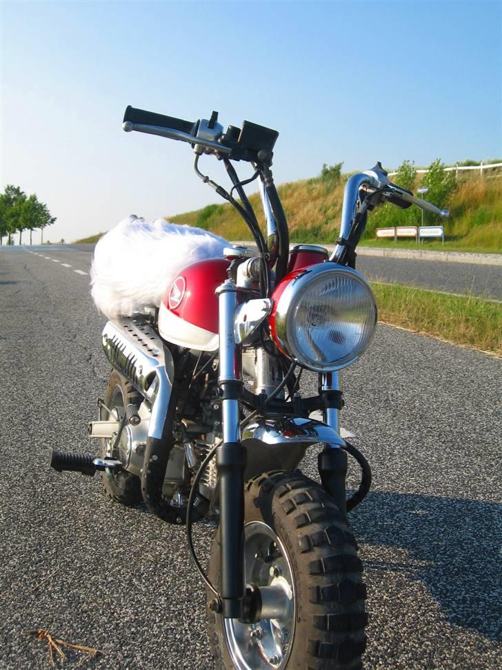 Skyteam Monkey billede 15