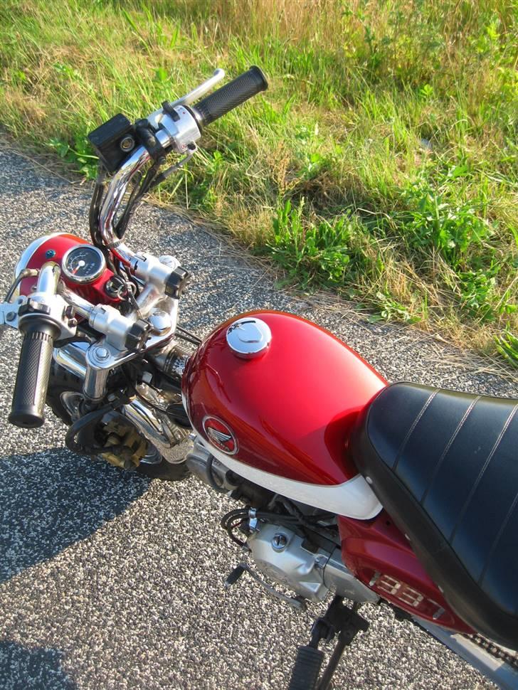 Skyteam Monkey billede 16