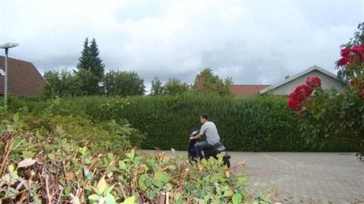 Yamaha Jog Space (Tilsalg) billede 6