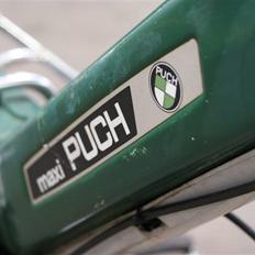 Veteraner PUCH MAXI P