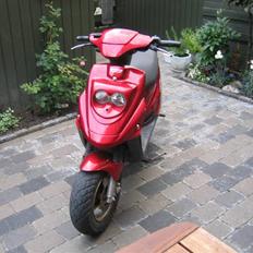 PGO Hot 50 // SOLGT //