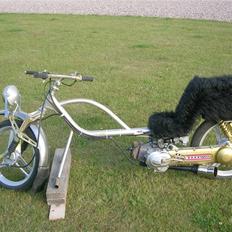 Honda   Customized "Walla/chop"