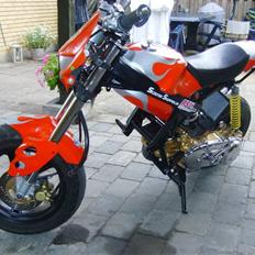 Suzuki Street Magic (custom)