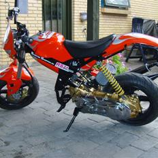 Suzuki Street Magic (custom)